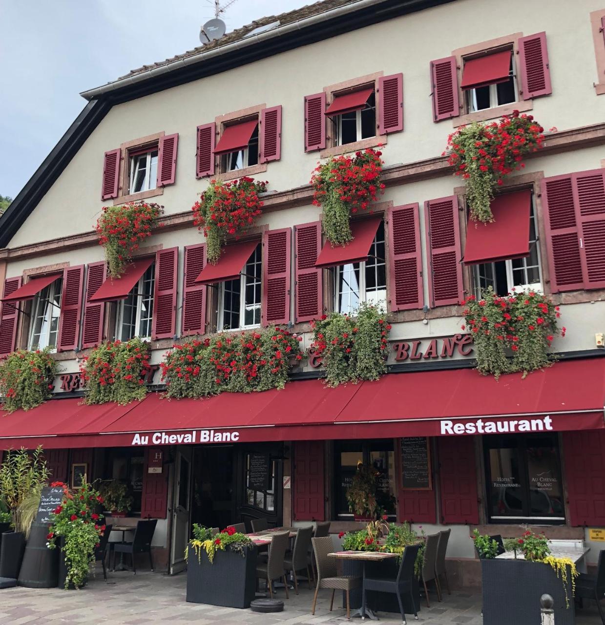 Hotel Spa Restaurant Au Cheval Blanc Ribeauville  Exterior photo