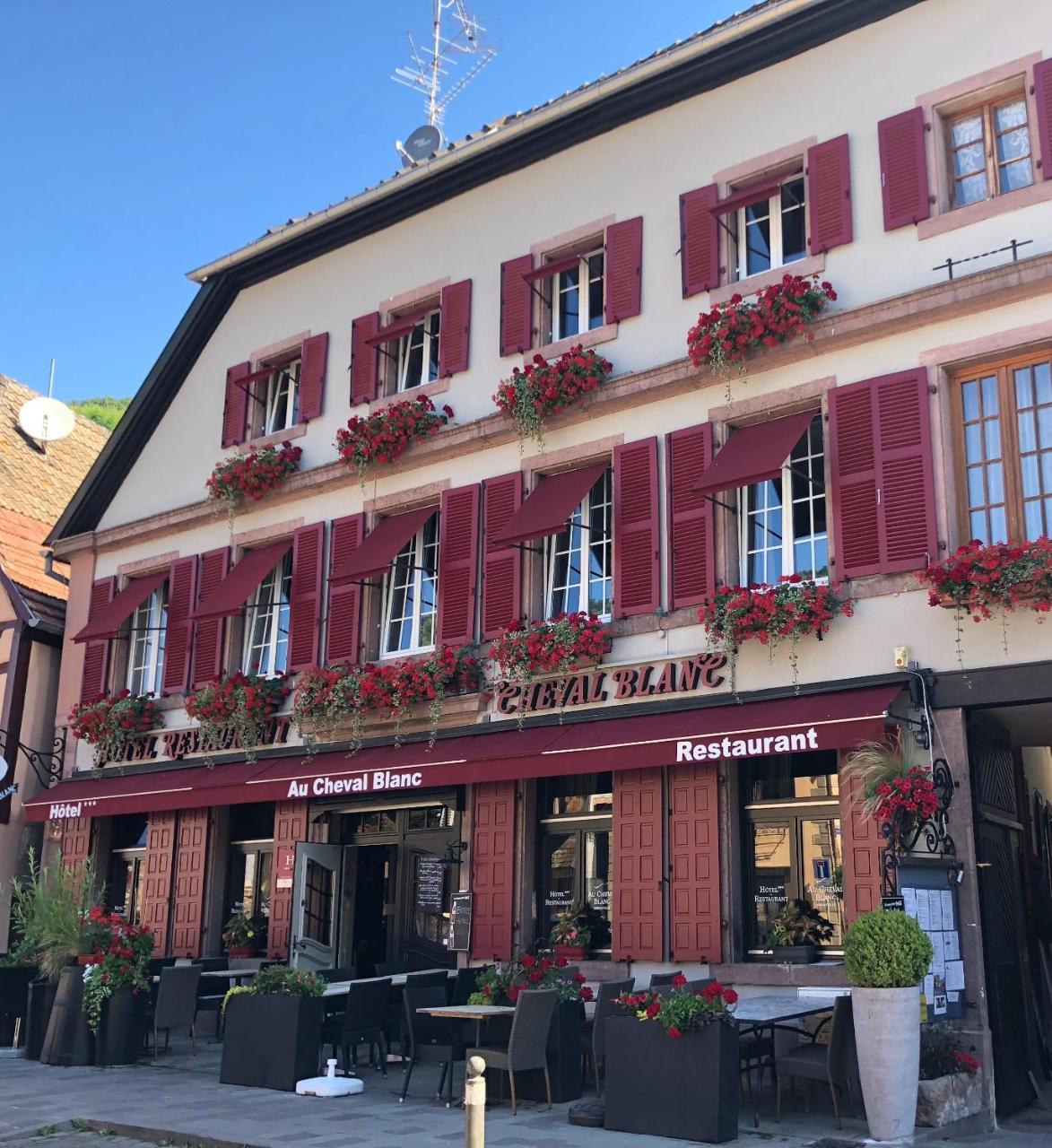 Hotel Spa Restaurant Au Cheval Blanc Ribeauville  Exterior photo