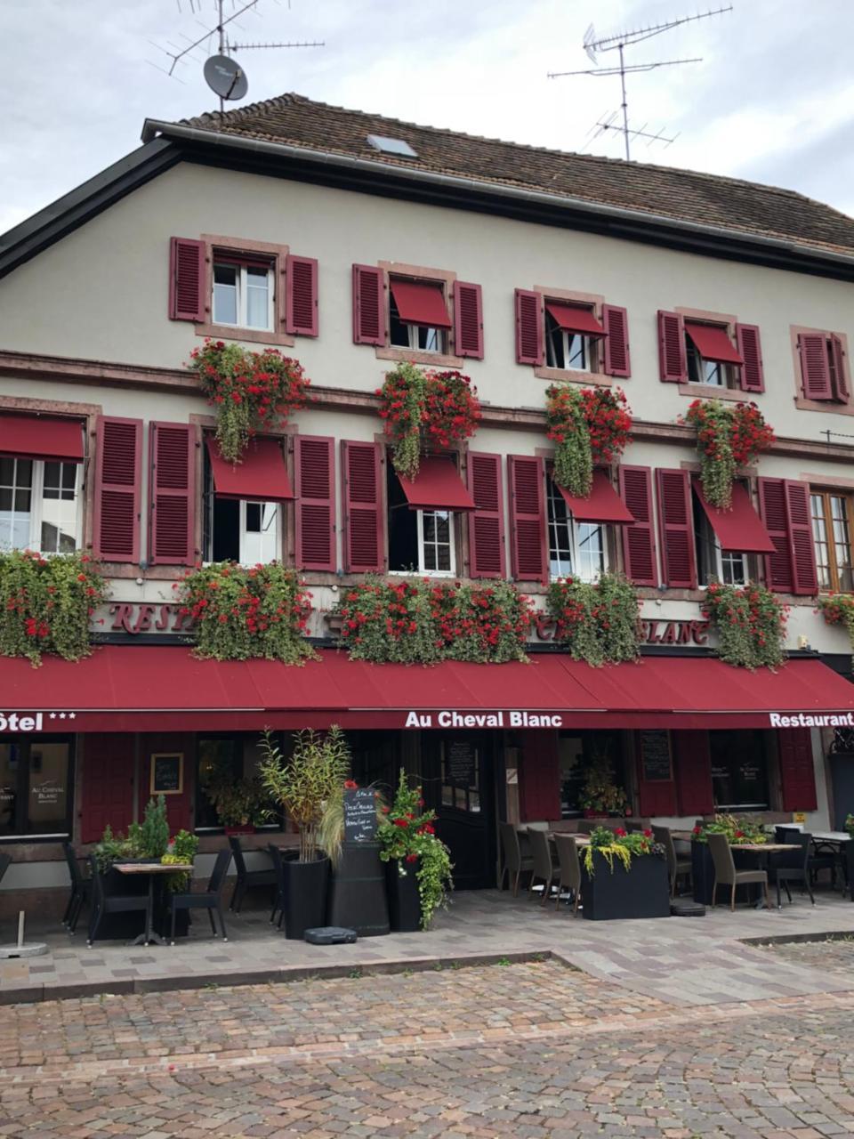 Hotel Spa Restaurant Au Cheval Blanc Ribeauville  Exterior photo